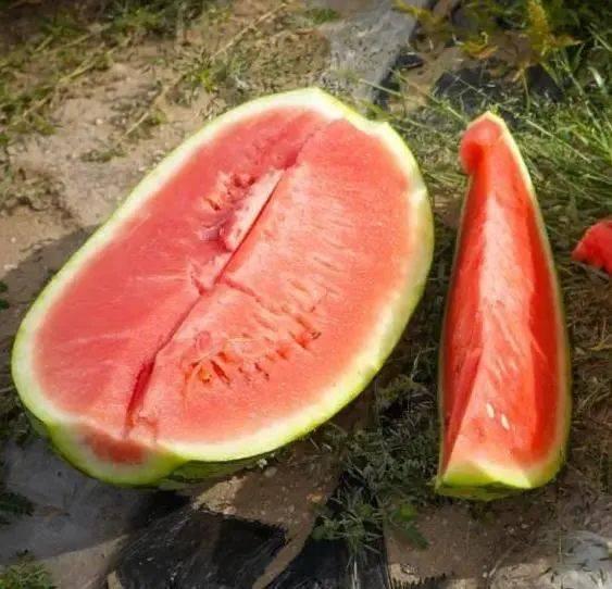 快速吃瓜特效,尽享夏日清凉盛宴