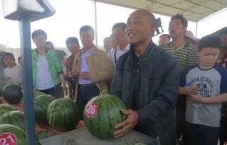 莱阳吃瓜群众,揭秘当地独特饮食文化