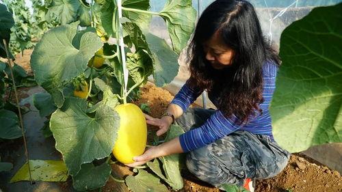带你吃饭带你吃瓜,带你领略美食与娱乐的双重盛宴