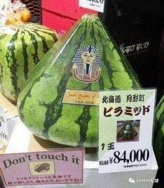 世界吃瓜群众特点,揭秘全球网民的趣味与热议