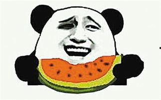 吃瓜观察,吃瓜群众视角下的娱乐圈风云录