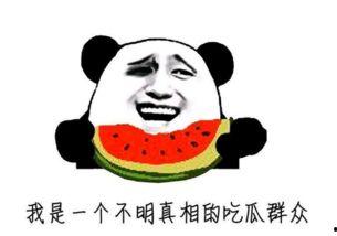 经常吃瓜牛,揭秘“吃瓜牛”的美食传奇