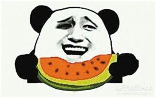 光头强吃瓜群众,吃瓜群众的逆袭之路