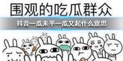 抖音最新吃瓜群,揭秘娱乐圈最新热点事件