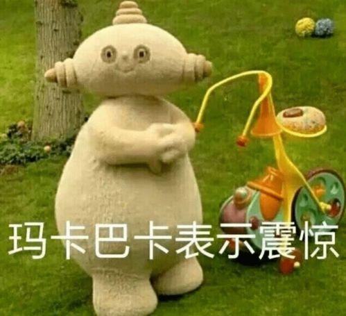 带你吃瓜花园宝宝,花园宝宝带你领略瓜界奇观