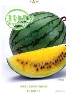 热点吃瓜集合,盘点近期网络热议事件