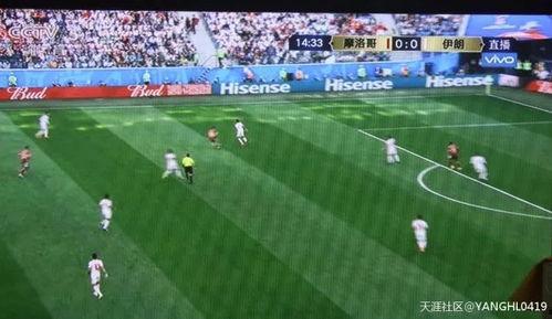 拜仁吃瓜群众,吃瓜群众视角下的豪门盛宴