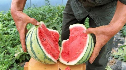 吃拉瓜,一场味蕾的盛宴