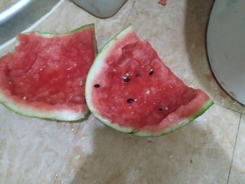 新疆高清吃瓜,一场视觉盛宴的美食之旅