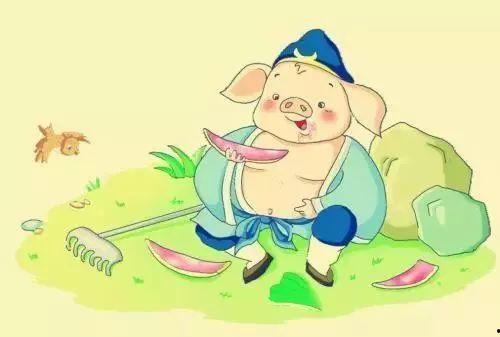 八戒别吃瓜,开启健康生活新篇章