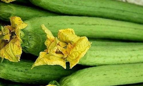 女人吃的是什么瓜,瓜果飘香，甜蜜生活