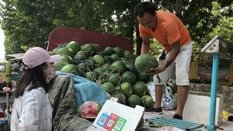 济宁吃瓜,一网打尽本地美食风情
