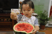 吃瓜群众专家,揭秘娱乐圈幕后真相