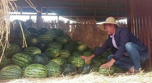 瓜李吃瓜,揭秘娱乐圈那些不为人知的幕后故事