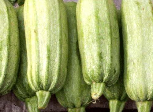 笋瓜99 吃瓜地址,揭秘神秘吃瓜地址背后的故事