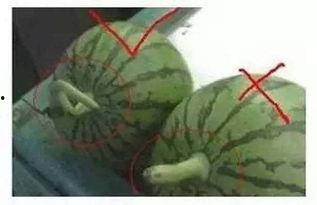 总结吃瓜,揭秘网络热议背后的真相与趣味