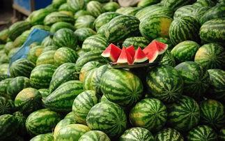 道具吃瓜胖仔,揭秘道具背后的趣味与智慧